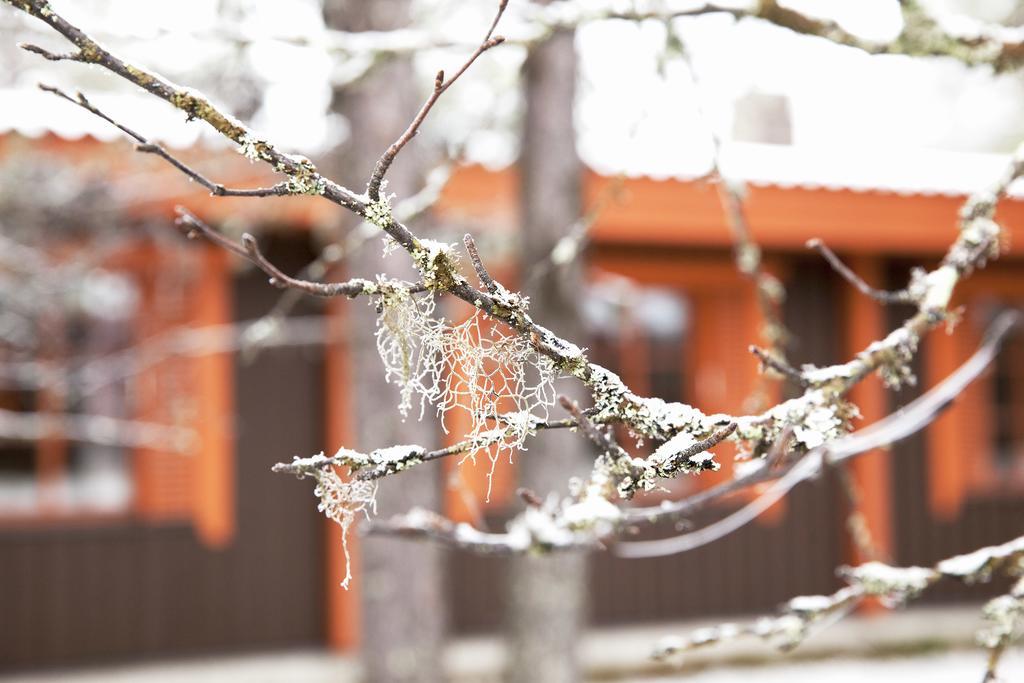 Saariselkae Inn Majatalo Panimo Экстерьер фото